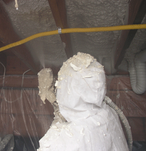 Chesapeake VA crawl space insulation